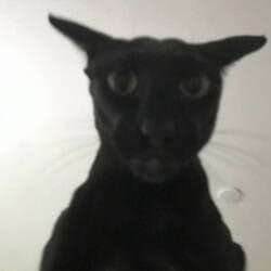 Evil Larry